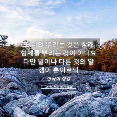 Picture 05 - 고린도전서 15:37 KOR - 또 너의 뿌리는 것은 장래 형체를 - Bible Verse Picture