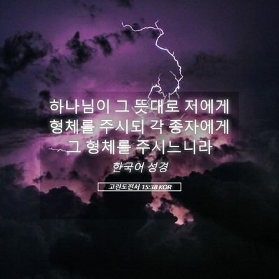 Picture 05 - 고린도전서 15:38 KOR - 하나님이 그 뜻대로 저에게 형체를 - Bible Verse Picture