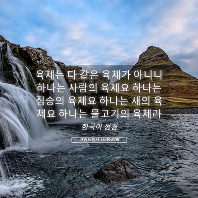 Picture 05 - 고린도전서 15:39 KOR - 육체는 다 같은 육체가 아니니 - Bible Verse Picture