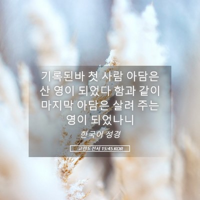 Picture 05 - 고린도전서 15:45 KOR - 기록된바 첫 사람 아담은 산 영이 - Bible Verse Picture