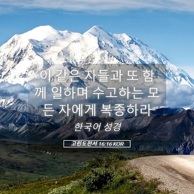 Picture 05 - 고린도전서 16:16 KOR - 이 같은 자들과 또 함께 일하며 - Bible Verse Picture