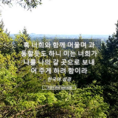 Picture 05 - 고린도전서 16:6 KOR - 혹 너희와 함께 머물며 과동할듯도 - Bible Verse Picture