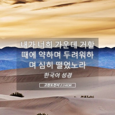Picture 05 - 고린도전서 2:3 KOR - 내가 너희 가운데 거할 때에 약하며 - Bible Verse Picture