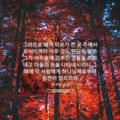 Picture 05 - 고린도전서 4:5 KOR - 그러므로 때가 이르기 전 곧 주께서 - Bible Verse Picture