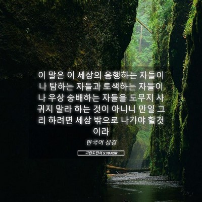 Picture 05 - 고린도전서 5:10 KOR - 이 말은 이 세상의 음행하는 - Bible Verse Picture