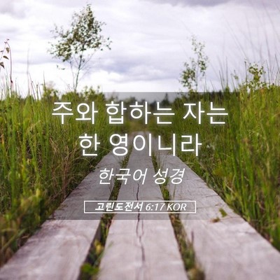 Picture 05 - 고린도전서 6:17 KOR - 주와 합하는 자는 한 - Bible Verse Picture