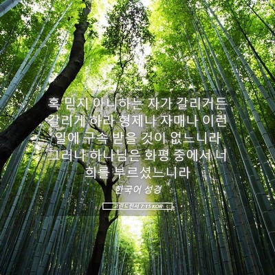 Picture 05 - 고린도전서 7:15 KOR - 혹 믿지 아니하는 자가 갈리거든 - Bible Verse Picture