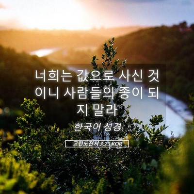 Picture 05 - 고린도전서 7:23 KOR - 너희는 값으로 사신 것이니 사람들의 - Bible Verse Picture