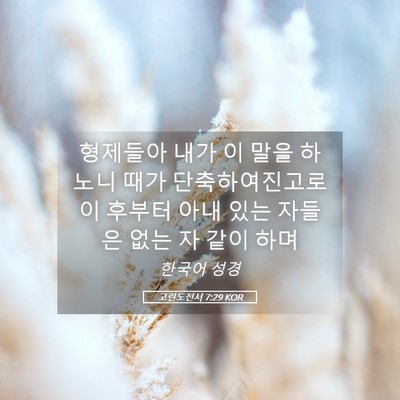 Picture 05 - 고린도전서 7:29 KOR - 형제들아 내가 이 말을 하노니 때가 - Bible Verse Picture