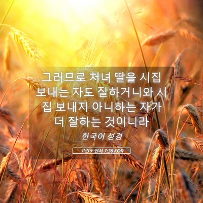 Picture 05 - 고린도전서 7:38 KOR - 그러므로 처녀 딸을 시집 보내는 - Bible Verse Picture