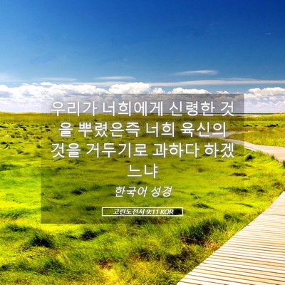 Picture 05 - 고린도전서 9:11 KOR - 우리가 너희에게 신령한 것을 - Bible Verse Picture