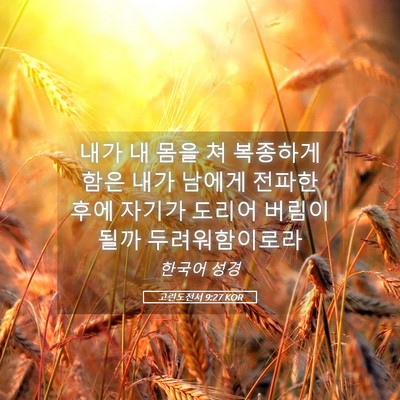 Picture 05 - 고린도전서 9:27 KOR - 내가 내 몸을 쳐 복종하게 함은 내가 - Bible Verse Picture