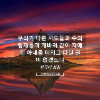 Picture 05 - 고린도전서 9:5 KOR - 우리가 다른 사도들과 주의 형제들과 - Bible Verse Picture