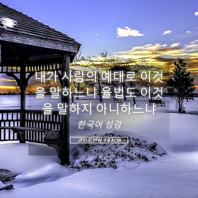 Picture 05 - 고린도전서 9:8 KOR - 내가 사람의 예대로 이것을 말하느냐 - Bible Verse Picture