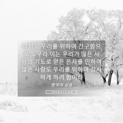 Picture 05 - 고린도후서 1:11 KOR - 너희도 우리를 위하여 간구함으로 - Bible Verse Picture