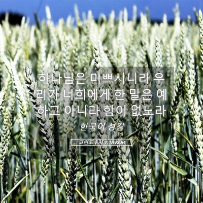 Picture 05 - 고린도후서 1:18 KOR - 하나님은 미쁘시니라 우리가 - Bible Verse Picture