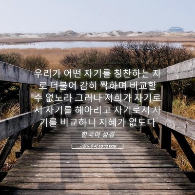 Picture 05 - 고린도후서 10:12 KOR - 우리가 어떤 자기를 칭찬하는 자로 - Bible Verse Picture