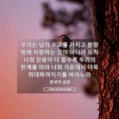 Picture 05 - 고린도후서 10:15 KOR - 우리는 남의 수고를 가지고 분량 - Bible Verse Picture