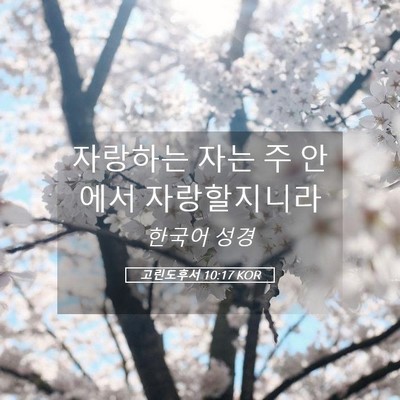 Picture 05 - 고린도후서 10:17 KOR - 자랑하는 자는 주 안에서 - Bible Verse Picture