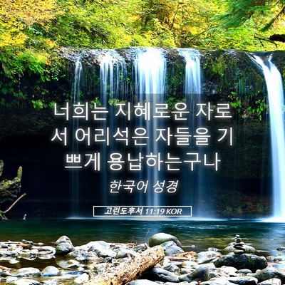 Picture 05 - 고린도후서 11:19 KOR - 너희는 지혜로운 자로서 어리석은 - Bible Verse Picture