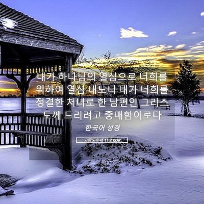 Picture 05 - 고린도후서 11:2 KOR - 내가 하나님의 열심으로 너희를 - Bible Verse Picture