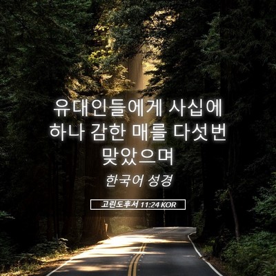 Picture 05 - 고린도후서 11:24 KOR - 유대인들에게 사십에 하나 감한 매를 - Bible Verse Picture