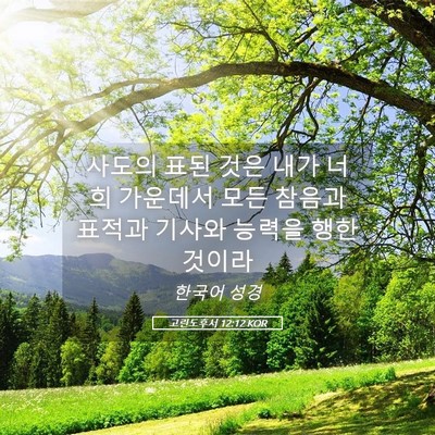 Picture 05 - 고린도후서 12:12 KOR - 사도의 표된 것은 내가 너희 - Bible Verse Picture