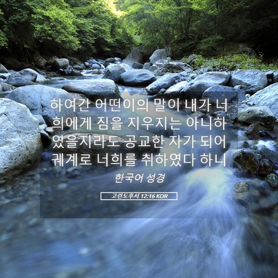 Picture 05 - 고린도후서 12:16 KOR - 하여간 어떤이의 말이 내가 너희에게 - Bible Verse Picture