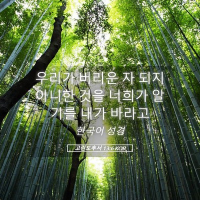 Picture 05 - 고린도후서 13:6 KOR - 우리가 버리운 자 되지 아니한 것을 - Bible Verse Picture