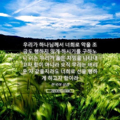 Picture 05 - 고린도후서 13:7 KOR - 우리가 하나님께서 너희로 악을 - Bible Verse Picture
