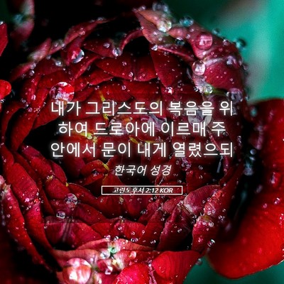 Picture 05 - 고린도후서 2:12 KOR - 내가 그리스도의 복음을 위하여 - Bible Verse Picture
