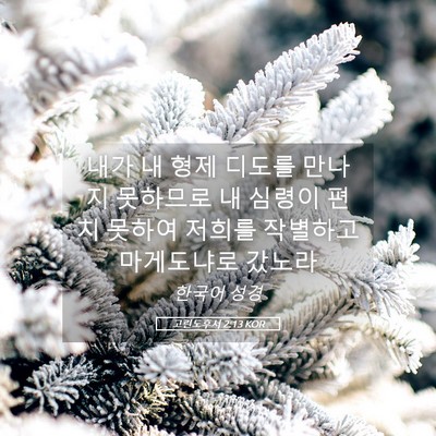 Picture 05 - 고린도후서 2:13 KOR - 내가 내 형제 디도를 만나지 - Bible Verse Picture