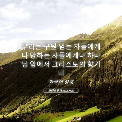 Picture 05 - 고린도후서 2:15 KOR - 우리는 구원 얻는 자들에게나 망하는 - Bible Verse Picture