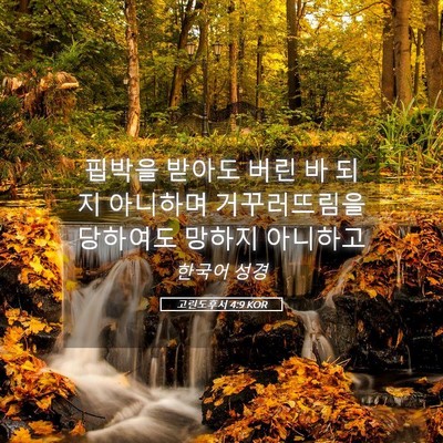 Picture 05 - 고린도후서 4:9 KOR - 핍박을 받아도 버린 바 되지 - Bible Verse Picture