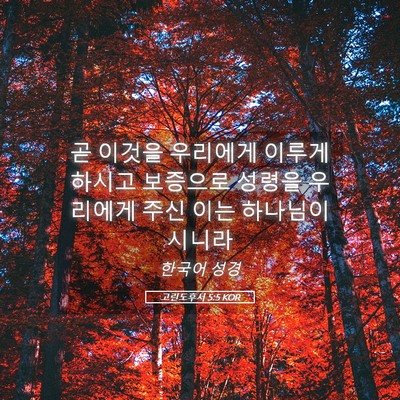 Picture 05 - 고린도후서 5:5 KOR - 곧 이것을 우리에게 이루게 하시고 - Bible Verse Picture