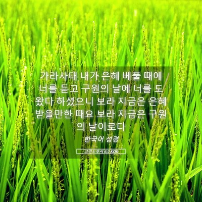 Picture 05 - 고린도후서 6:2 KOR - 가라사대 내가 은혜 베풀 때에 너를 - Bible Verse Picture
