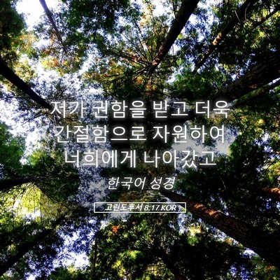 Picture 05 - 고린도후서 8:17 KOR - 저가 권함을 받고 더욱 간절함으로 - Bible Verse Picture