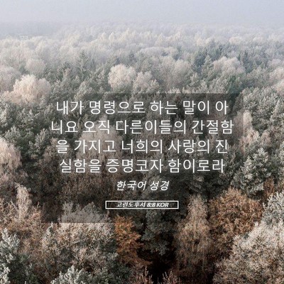 Picture 05 - 고린도후서 8:8 KOR - 내가 명령으로 하는 말이 아니요 - Bible Verse Picture