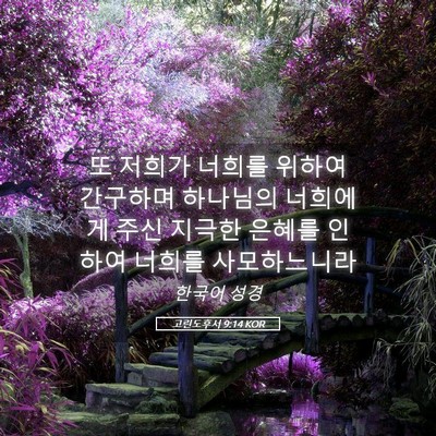 Picture 05 - 고린도후서 9:14 KOR - 또 저희가 너희를 위하여 간구하며 - Bible Verse Picture