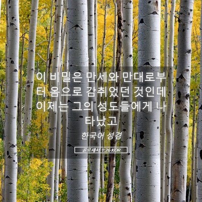 Picture 05 - 골로새서 1:26 KOR - 이 비밀은 만세와 만대로부터 옴으로 - Bible Verse Picture