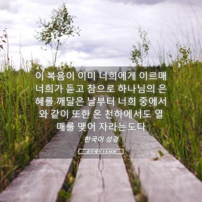 Picture 05 - 골로새서 1:6 KOR - 이 복음이 이미 너희에게 이르매 - Bible Verse Picture