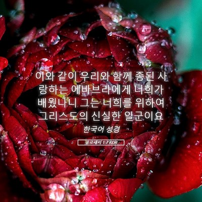 Picture 05 - 골로새서 1:7 KOR - 이와 같이 우리와 함께 종된 - Bible Verse Picture