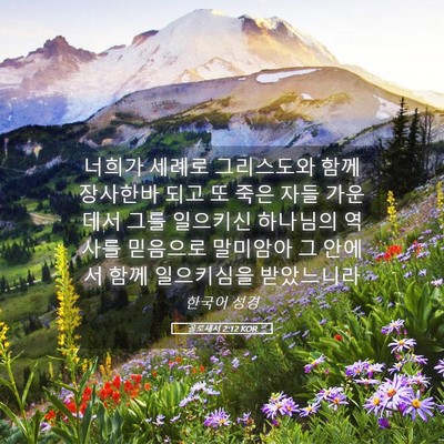 Picture 05 - 골로새서 2:12 KOR - 너희가 세례로 그리스도와 함께 - Bible Verse Picture