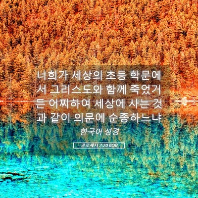 Picture 05 - 골로새서 2:20 KOR - 너희가 세상의 초등 학문에서 - Bible Verse Picture