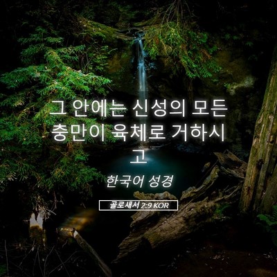 Picture 05 - 골로새서 2:9 KOR - 그 안에는 신성의 모든 충만이 - Bible Verse Picture