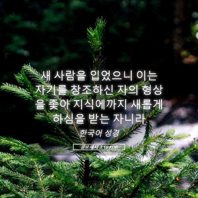 Picture 05 - 골로새서 3:10 KOR - 새 사람을 입었으니 이는 자기를 - Bible Verse Picture