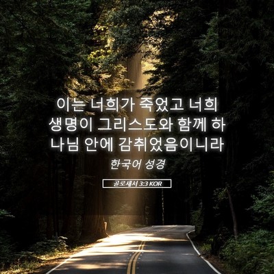 Picture 05 - 골로새서 3:3 KOR - 이는 너희가 죽었고 너희 생명이 - Bible Verse Picture
