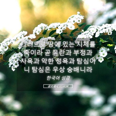 Picture 05 - 골로새서 3:5 KOR - 그러므로 땅에 있는 지체를 죽이라 - Bible Verse Picture