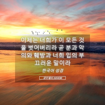 Picture 05 - 골로새서 3:8 KOR - 이제는 너희가 이 모든 것을 - Bible Verse Picture