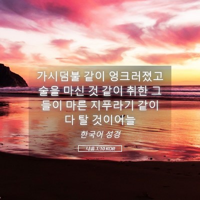 Picture 05 - 나훔 1:10 KOR - 가시덤불 같이 엉크러졌고 술을 마신 - Bible Verse Picture